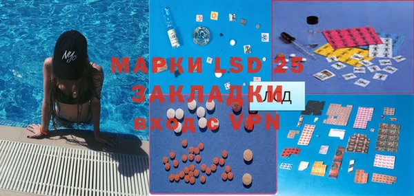 индика Покачи